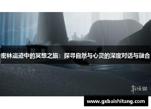 密林遗迹中的冥想之旅：探寻自然与心灵的深度对话与融合